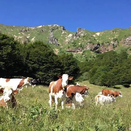 Casa de Férias Maison De Caractere Au Coeur Du Massif Du Sancy